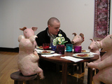 Swine