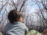 hanami